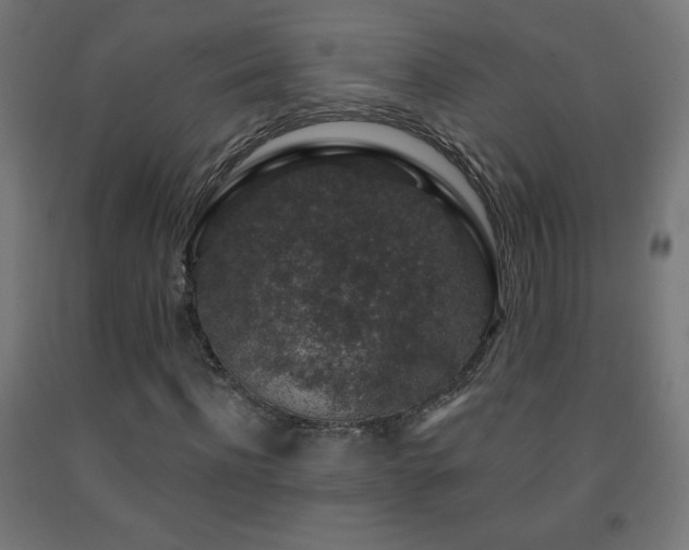 X0000093140916200709261421