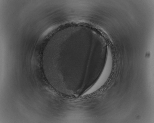 X0000093140919200709261421