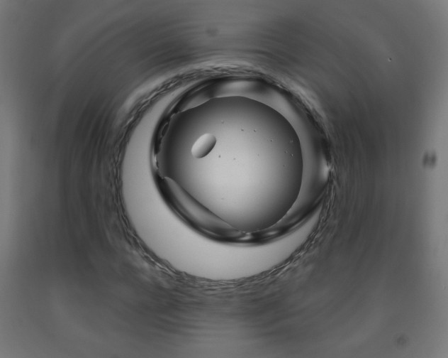 X0000093140920200709261421