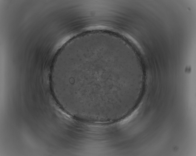 X0000093140921200709261421