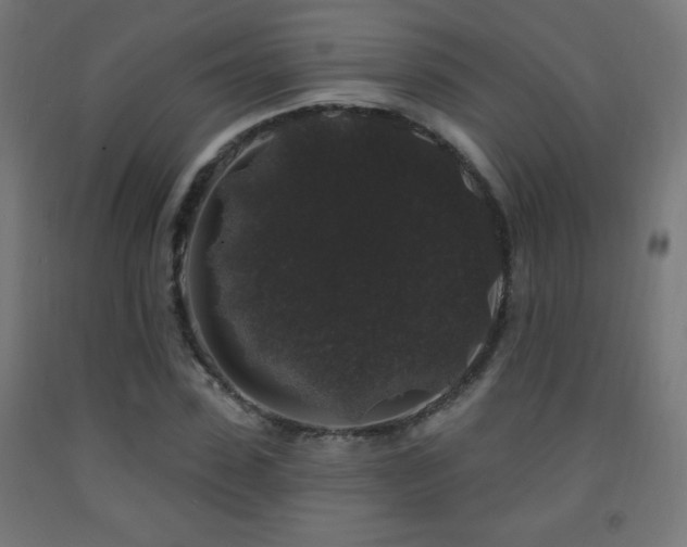 X0000093140923200709261421