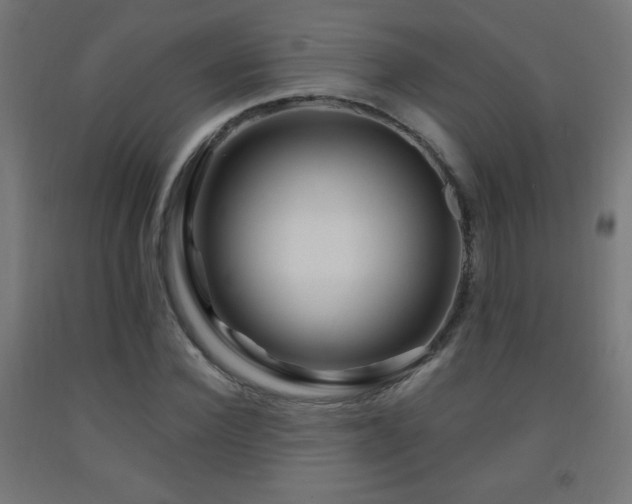 X0000093140924200709261421