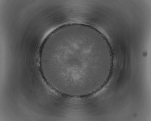 X0000093140925200709261421