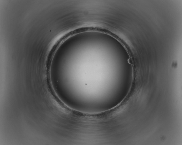 X0000093140927200709261421