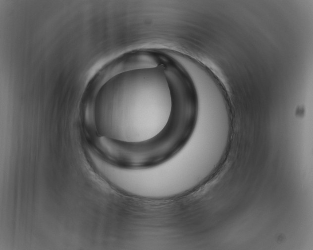 X0000093140928200709261421