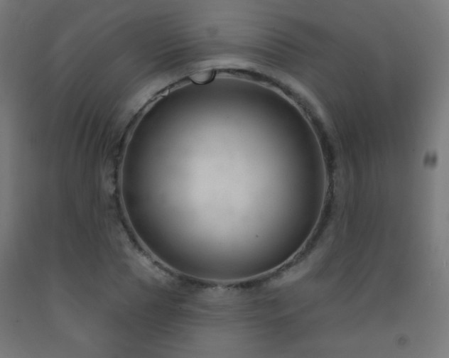 X0000093140929200709261421