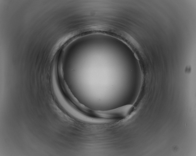 X0000093140930200709261421