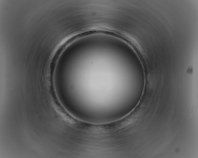 X0000093140931200709261421