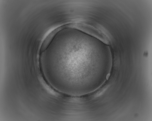 X0000093140932200709261421