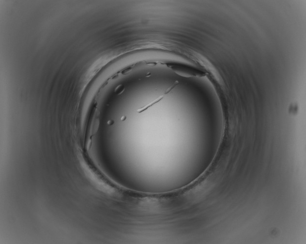 X0000093140938200709261422