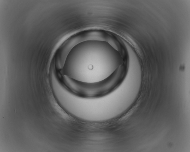 X0000093140940200709261422