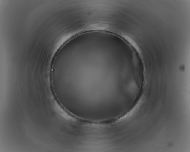 X0000093140941200709261422