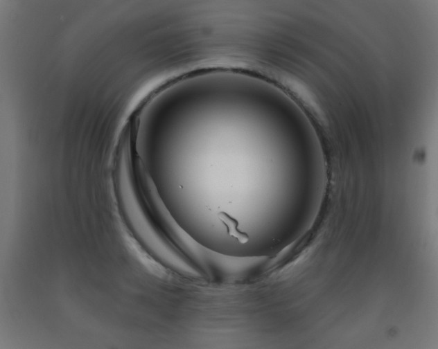 X0000093140942200709261422