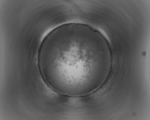 X0000093140944200709261422