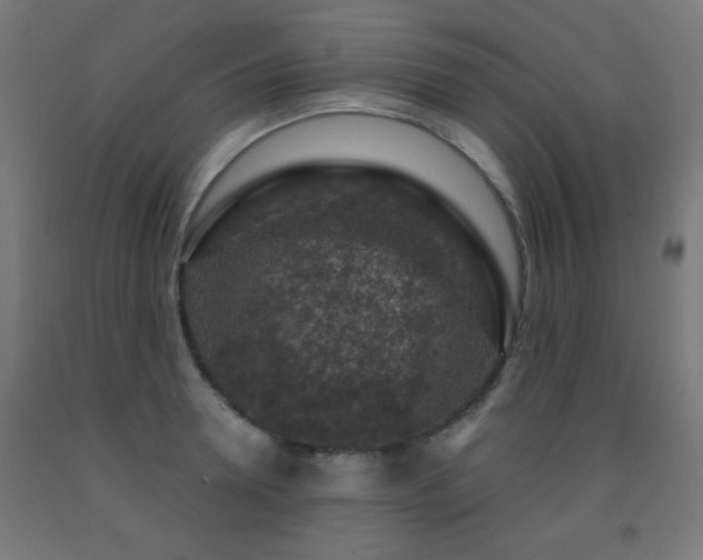 X0000093140946200709261422