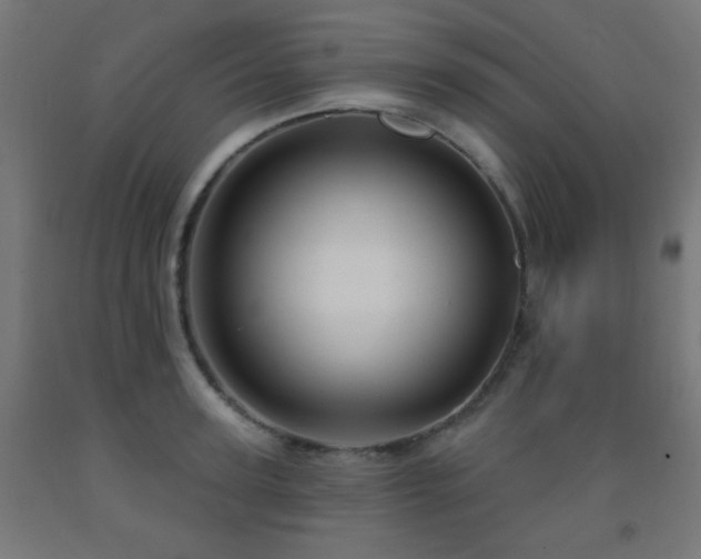 X0000093140947200709261422