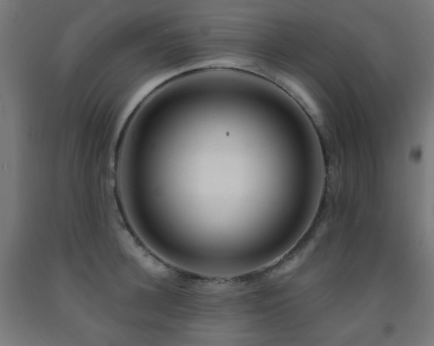 X0000093140948200709261422