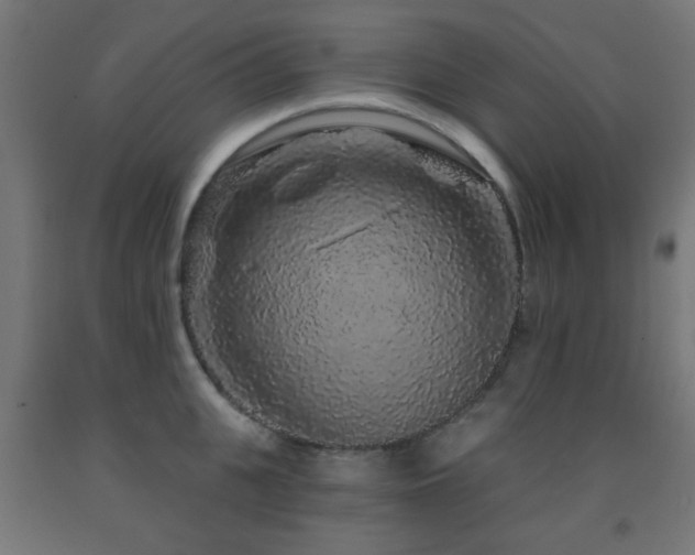 X0000093140951200709261422