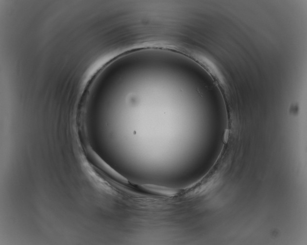 X0000093140952200709261422