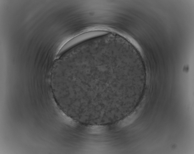 X0000093140953200709261422