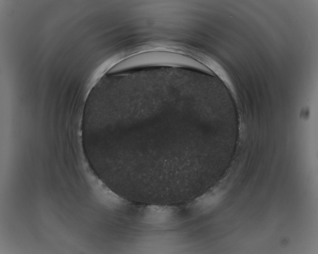 X0000093140954200709261422
