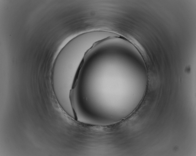 X0000093140956200709261422