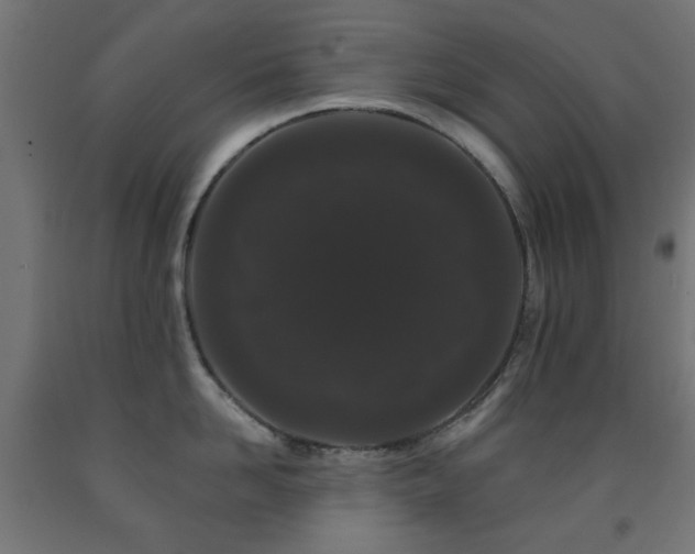 X0000093140958200709261422