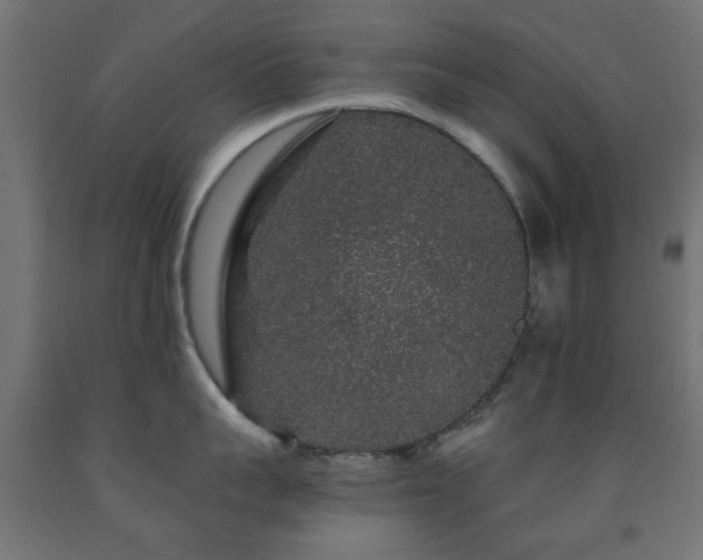 X0000093140959200709261422
