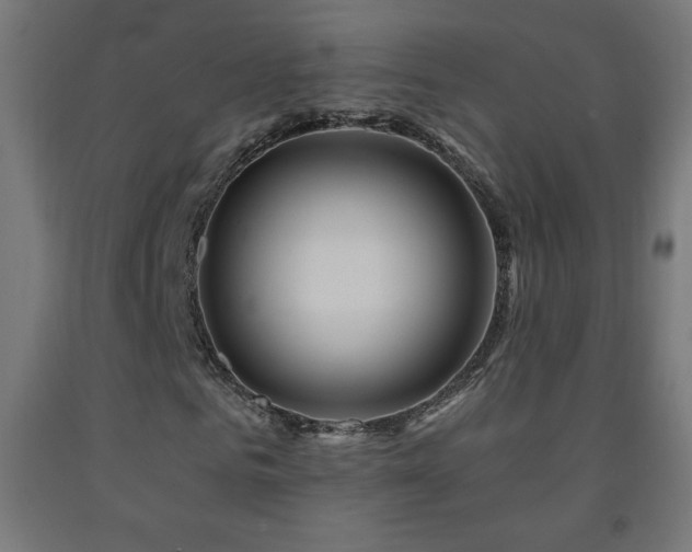 X0000093140961200709261421