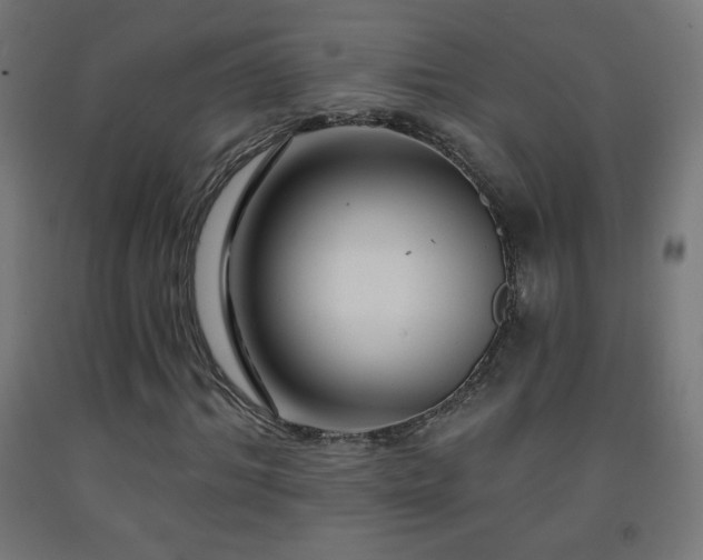 X0000093140964200709261421