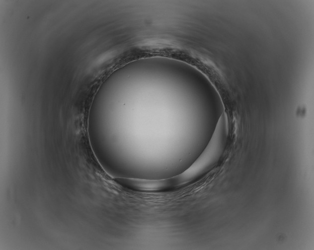 X0000093140965200709261421