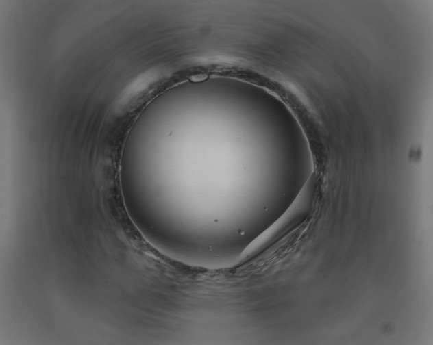 X0000093140967200709261421