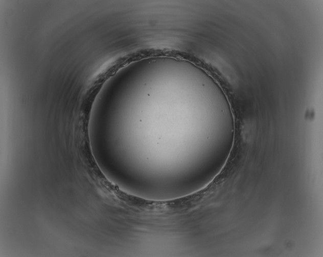 X0000093140968200709261421