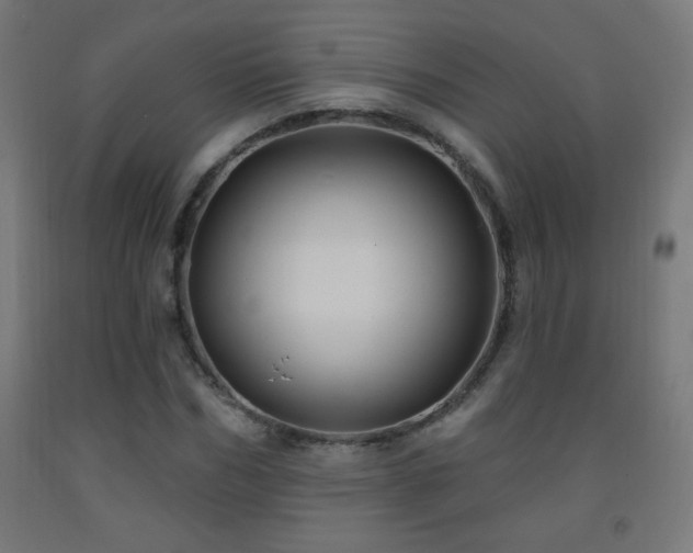 X0000093140970200709261421