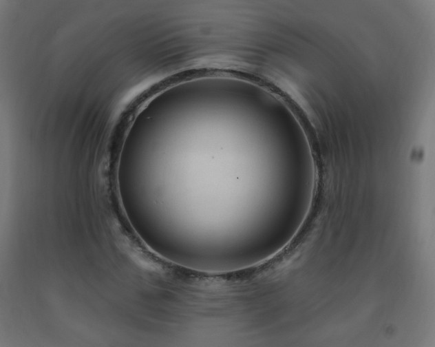X0000093140971200709261421