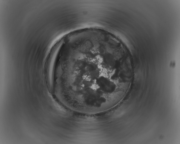 X0000093140975200709261421