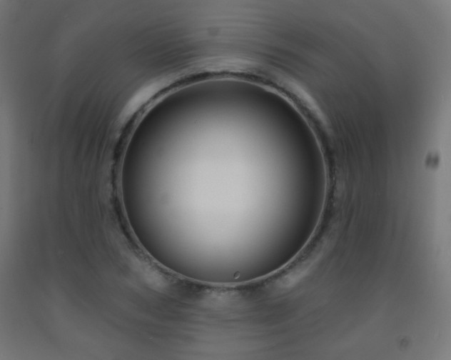 X0000093140978200709261421
