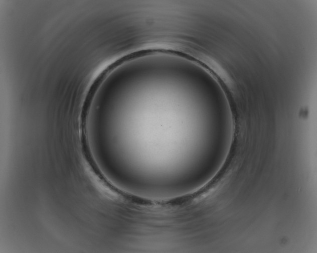 X0000093140980200709261421