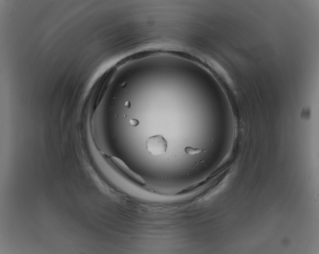X0000093140981200709261421