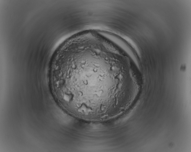 X0000093140983200709261421