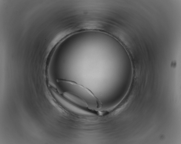 X0000093140986200709261421