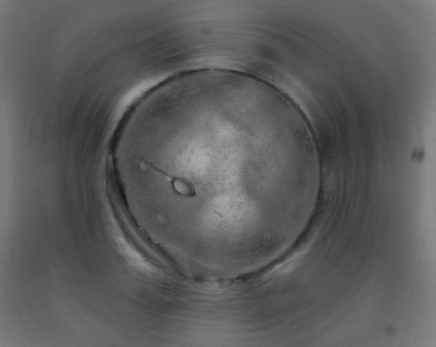 X0000093140987200709261421