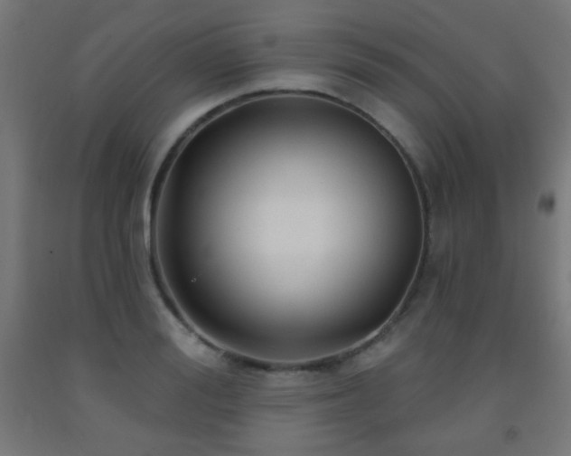 X0000093140988200709261421