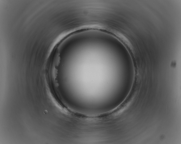 X0000093140989200709261421