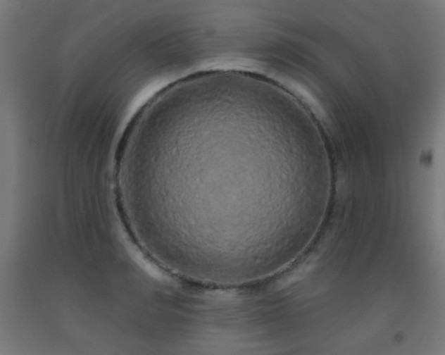 X0000093140990200709261421