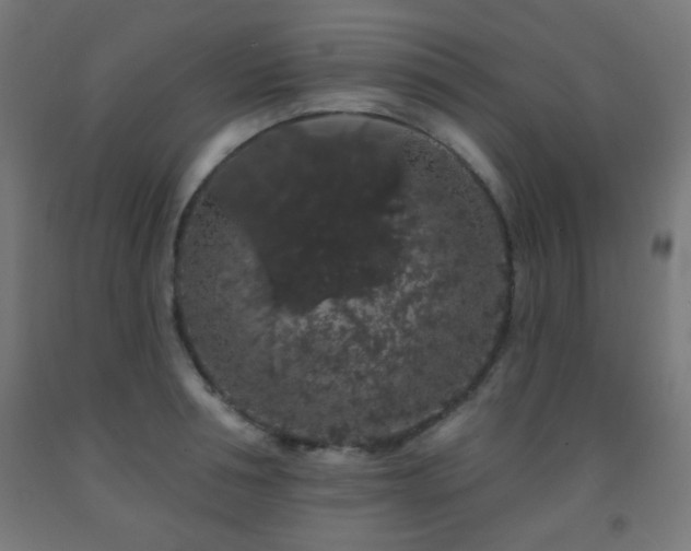 X0000093140994200709261421