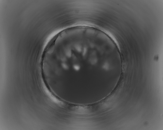X0000093140995200709261421