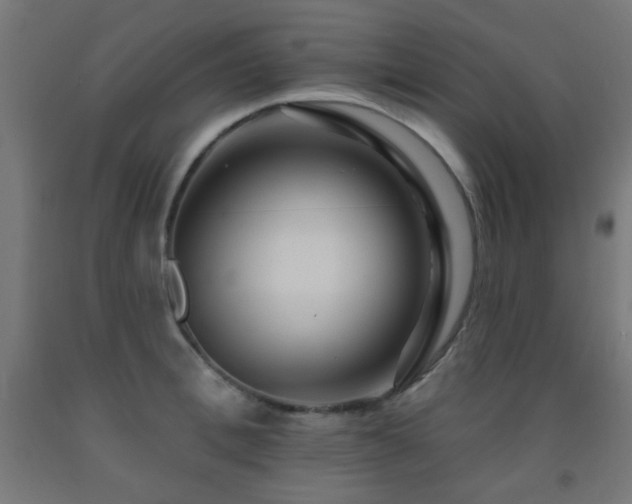 X0000093140996200709261421