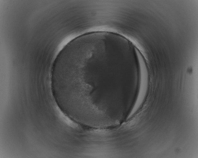X0000093140998200709261421