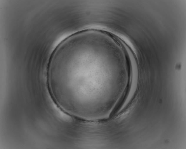 X0000093140999200709261421